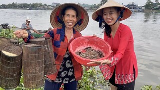 Đặt Lợp Tép Rong Trong Ao Lục Bình• Những Mẻ Tép Chiên Bột Giòn Rụm Cuộn Rau Sống | NĐMT#251