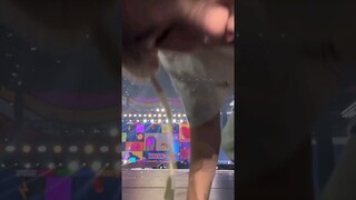 That was a cute little kitten 🐈🐾 #seventeen #woozi