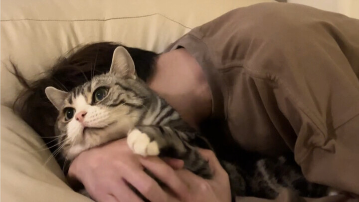 สาเหตุที่แมวสมัยใหม่ไม่ขี้อ้อน