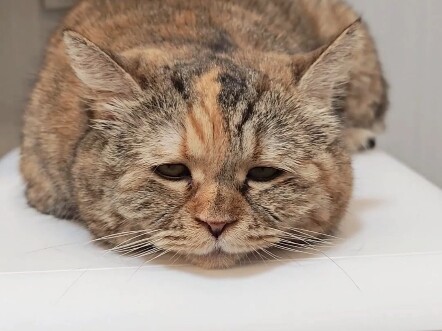 Before I even had time to build up my winter reserves, the weather turned cold.