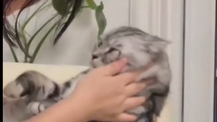 Dad’s hug: So happy! Mom’s hug: Deadly!