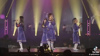 OTONA BLUE