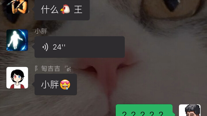 Tao Zhe fan group remix master