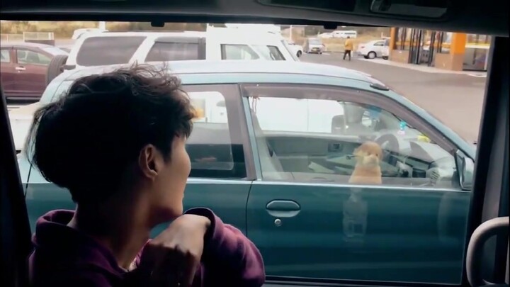 Zhang Yixing yang salah mengaplikasikan keterampilan merayu cewek, tiba-tiba jadi iri sama anjing!