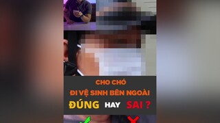 Cho chó đi vệ sinh bên ngoài là đúng hay sai? tuitienpet dcgr pet learnontiktok