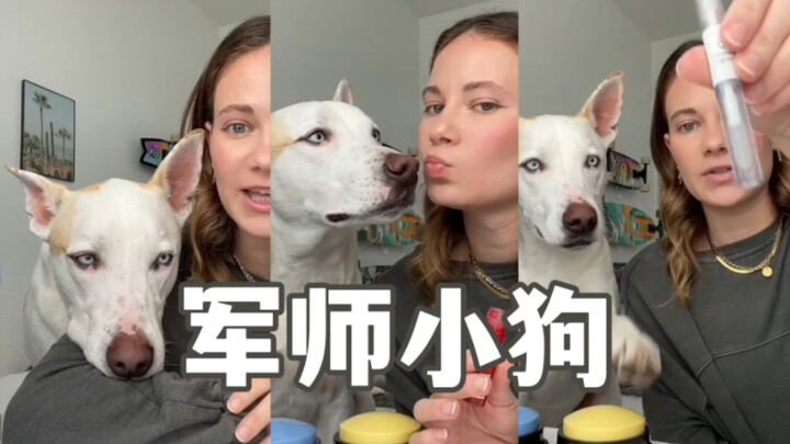 Let the dog decide my makeup look for today!