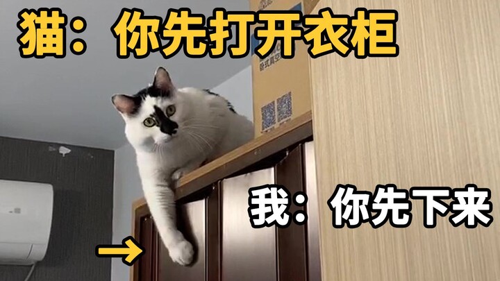 双方都难以妥协，一度感觉很丢面子……