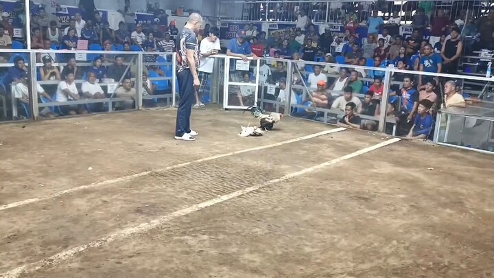 1st fight January 8, 2026 Elorde loss