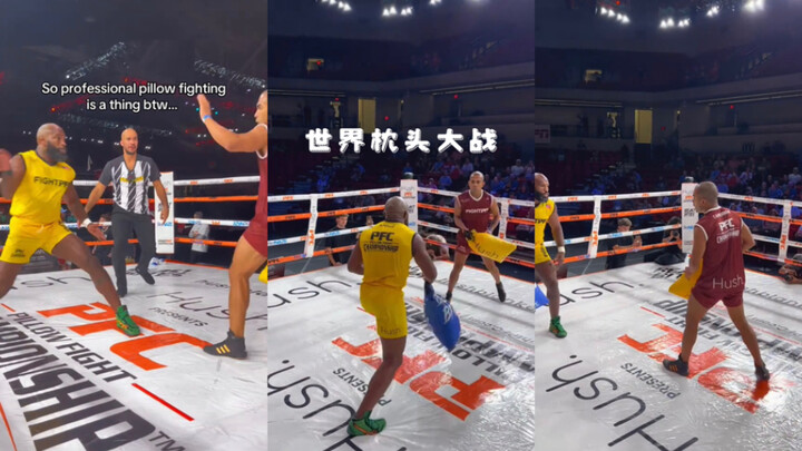 Ternyata memang ada kompetisi perang bantal dunia, lho! 🥊