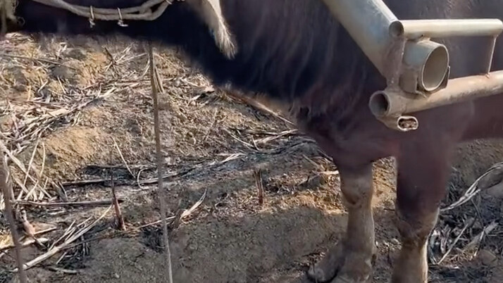 Looks just like me with my employee badge on.