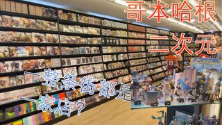 【哥本哈根/二次元】丹麦的漫画店都是一条街一开的吗？