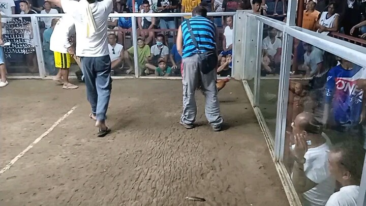 4-8-23/champion 2hits pantaderby @tungaleyte(erickdionaldo bloodline)