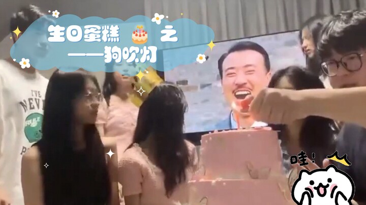 كعكة عيد الميلاد 🎂 – الكلب يطفئ الشموع