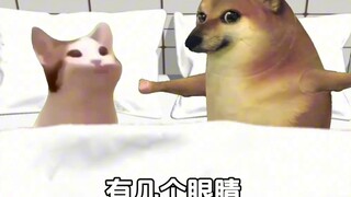 Does anyone know the correct answer?