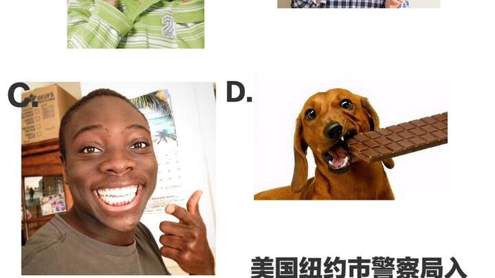 U.S. Police Exam Question: Who Really Stole the Chocolate?