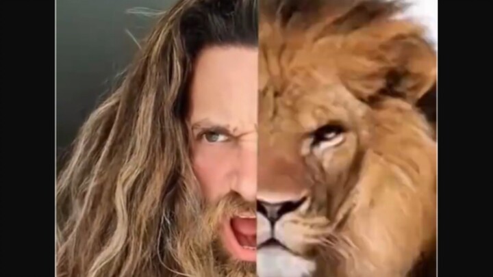 ทดสอบฟิลเตอร์～มาเช็กกันหน่อยว่ารูปหน้าของคุณเข้ากับสัตว์ชนิดไหนมากที่สุด!