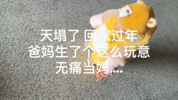 天塌了，我就去外地上个大学，回家发现爸妈生了二胎！