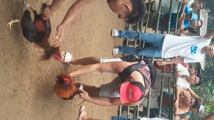 1ST Fight Doblado panga Pero nagtibay Solid January 1 New year 2026