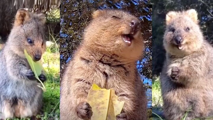 Ăn cơm! Ăn cơm!! Niềm vui của dân mải ăn đơn giản vậy thôi