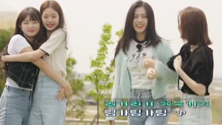 【يو يوان】من المؤسف أن لا تكون غريزتها هي أنا