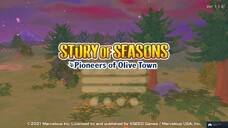 Story Of Season Pioneers Of Olive Town 10