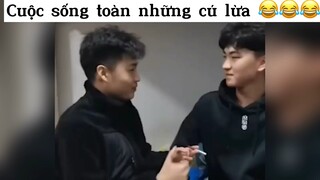 Cuộc sống toàn những cú lừa