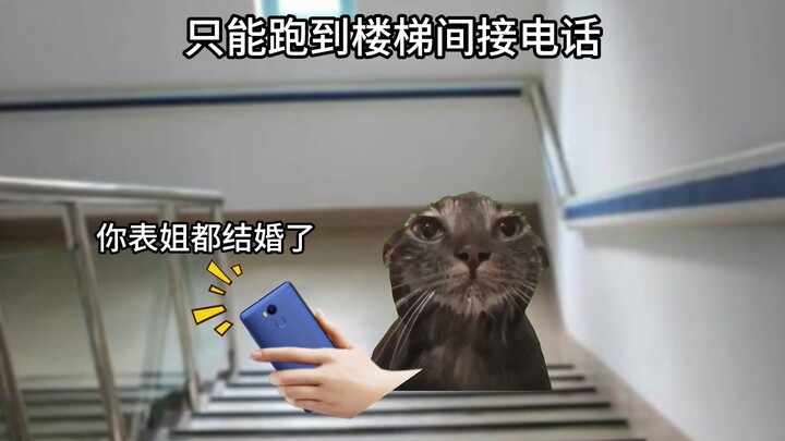 Anak bungsu, jangan takut, ibu akan membawamu pulang