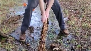 موقع عمل مُرضٍ للعمال المهرة~