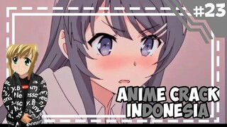 Hukum Menikahi Waifu -「 Anime Crack Indonesia 」#23