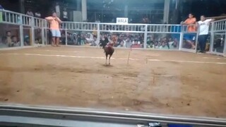 sa wala. Doyti GF 💪❤