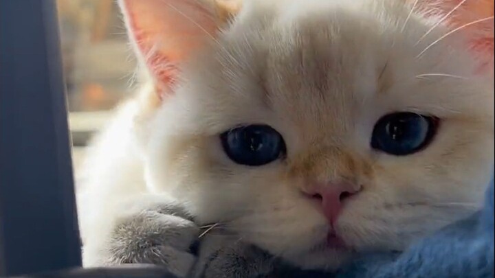 So cute, just like you