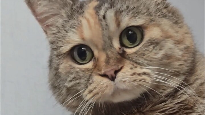 Hello, I want to sneak into your bed.