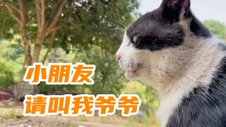 Yang hadir di sini sepertinya harus memanggilnya kakek, kucing tua ini sudah berusia 22 tahun, tidak