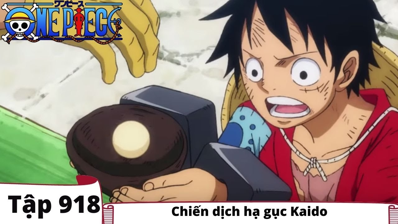 One Piece Tập 918 Chiến Dịch Hạ Gục Kaido đảo Hải Tặc Tom Tắt Anime Bilibili