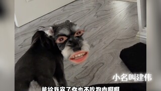 الكلب: أنا متعب