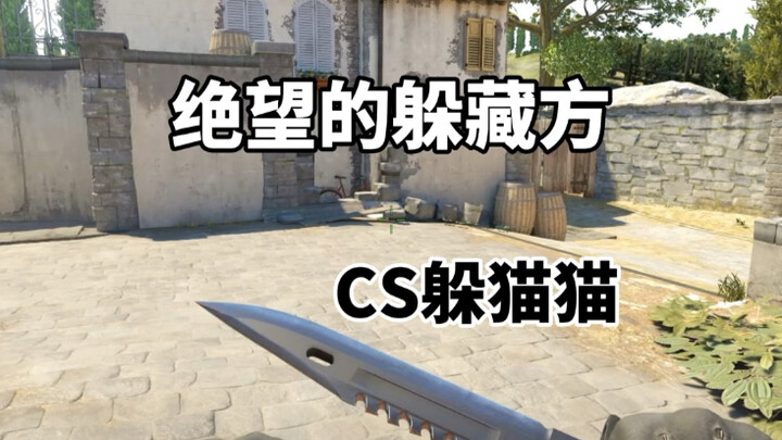 เกมซ่อนหาใน CS2: สิ้นหวัง