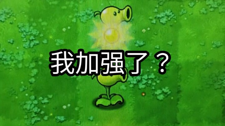 豌豆玩家的春天来了