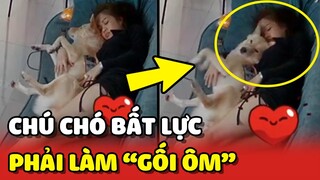 Khoảnh khắc BẤT LỰC siêu đáng yêu của chú chó khi làm GỐI ÔM cho Sen 😂 | Yêu Lu