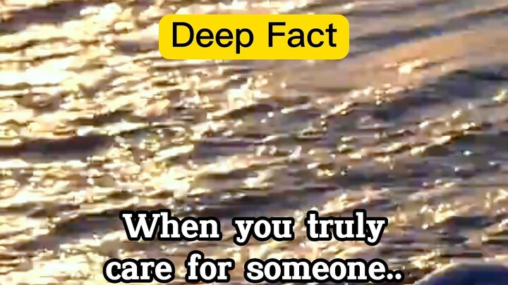 Deep Fact