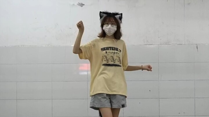 Niu Niu plays the gray song Jianxiu Fox I pick the raccoon cat