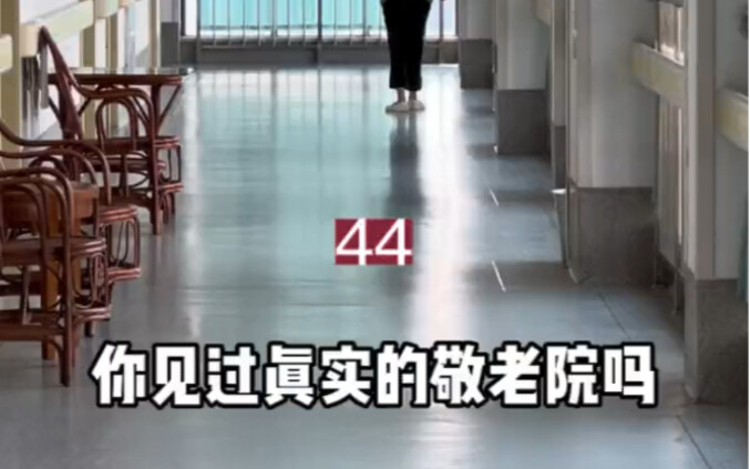 我拍出来，又担心你不敢看。