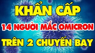 🔥 Tin Cực Nóng Covid-19 Ngày 3/12 | Thông tin khẩn từ Bộ Y tế | Tin Tức 247