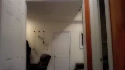 Hawaiian Roller Coaster Ride (2010)