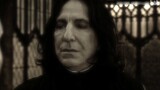 [Daniel's stand-in literature] - I'm sorry, you look too much like him. Daniel × You × Snape