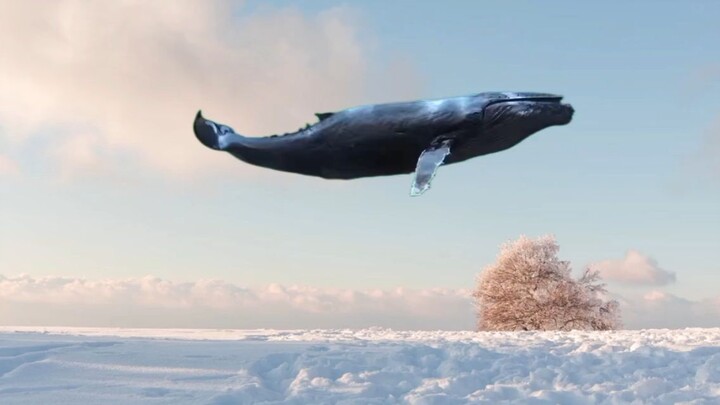 [ASMR] Satisfying Jelly Anggur 🍇|| Kres kress