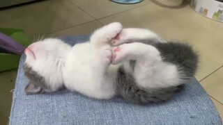 น่ารักขนาดนี้! ควรใช้กระสอบแบบไหนดีนะ?