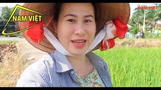 Con dâu miền đông học Mẹ chồng - làm mắm tôm chua miền tây [Nam Việt 1794]