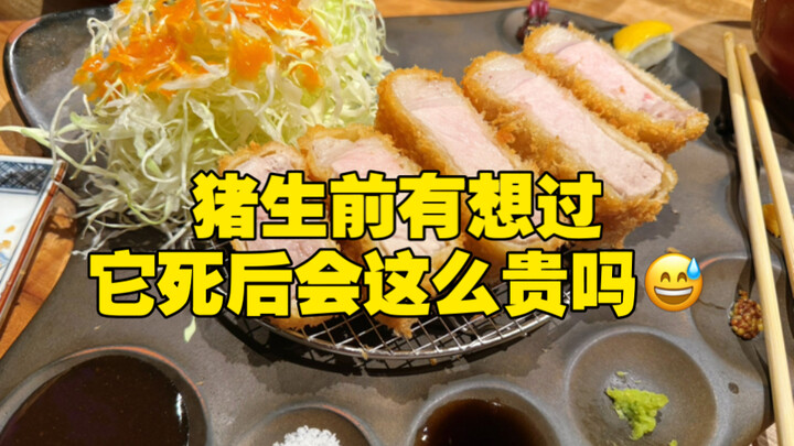 Membuat sendiri santapan katsu babi dengan biaya lebih dari 200 yuan, apakah si babi saat hidupnya t