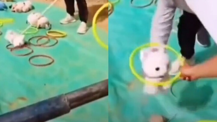 A man in Henan failed to hit the trap repeatedly at a trapping stall, but the boss went straight to 