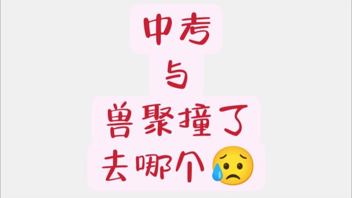 Thi vào cấp 3 đụng phải hội thú rồi, chọn bên nào? Đang chờ online, gấp lắm!